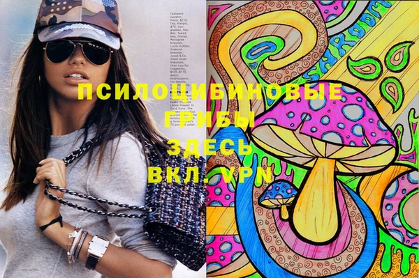 2c-b Балахна